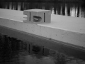 SONY DSC